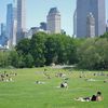 Central Park to launch an open-air laboratory for studying climate change